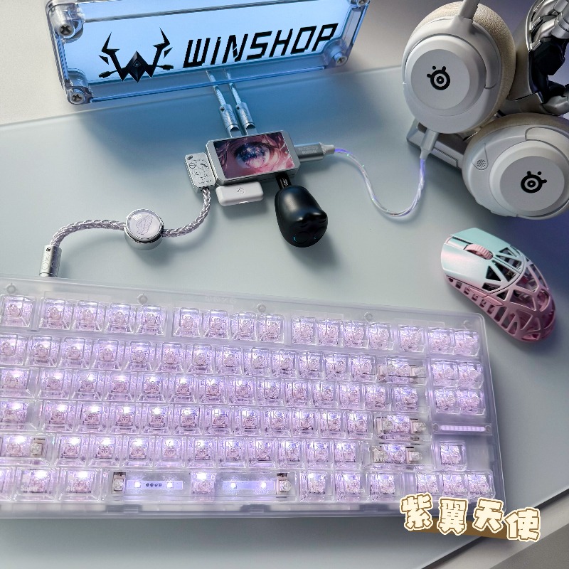 WINSHOP Esports HUB デュアルイン 4 ア - Desk Setup Accessories Aesthetic のレビューと価格